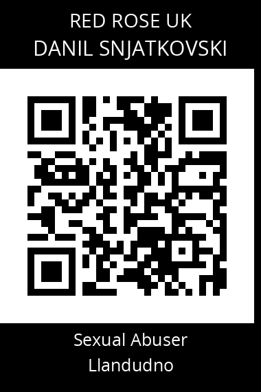 QR code for danil-snjatkovski