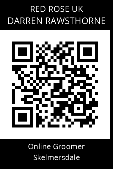 QR code for darren-rawsthorne