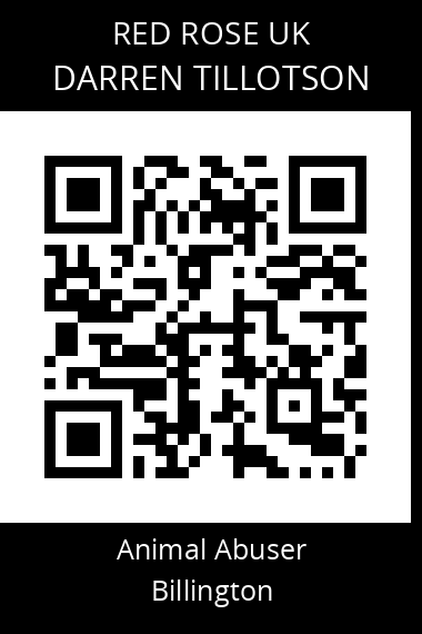 QR code for darren-tillotson