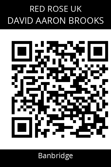 QR code for david-aaron-brooks