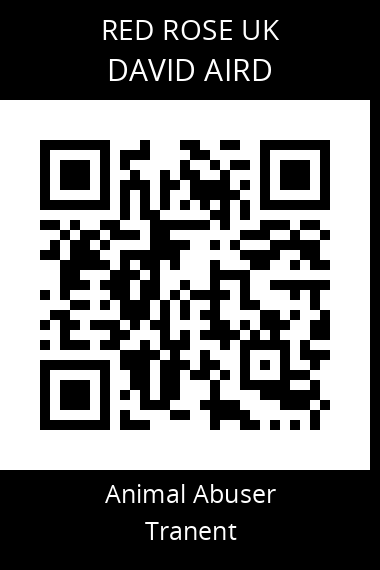 QR code for david-aird