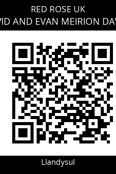 QR code for david-and-evan-meirion-davies