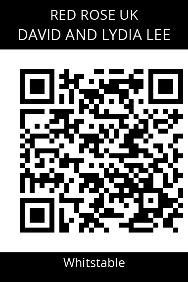 QR code for david-and-lydia-lee