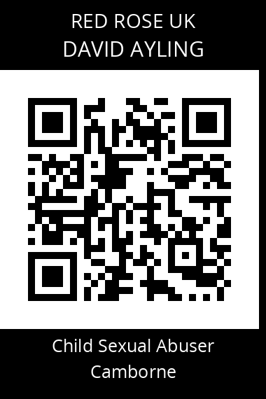 QR code for david-ayling