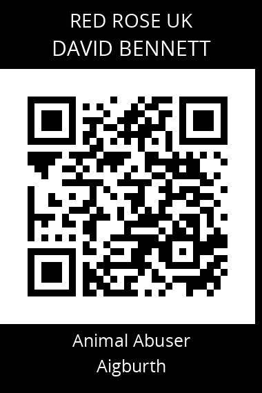 QR code for david-bennett-7