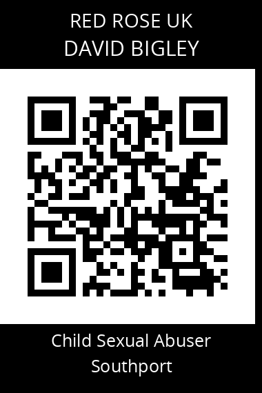 QR code for david-bigley
