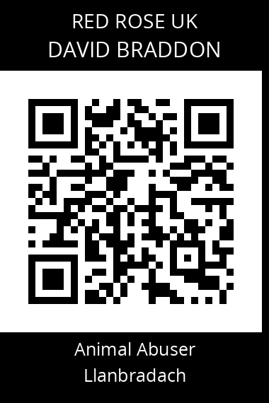 QR code for david-braddon