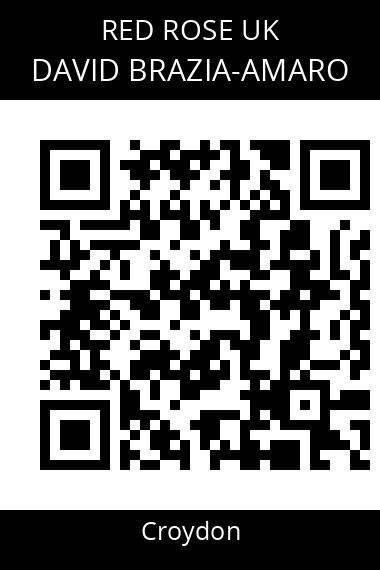 QR code for david-brazia-amaro
