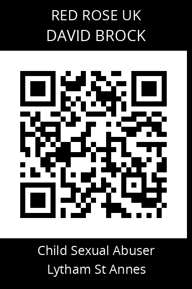 QR code for david-brock