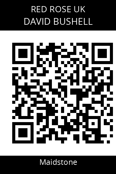QR code for david-bushell-a4aucv