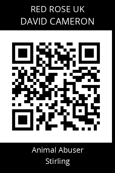 QR code for david-cameron-2
