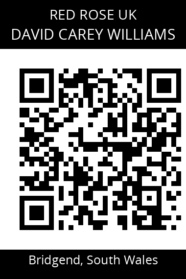 QR code for david-carey-williams-2