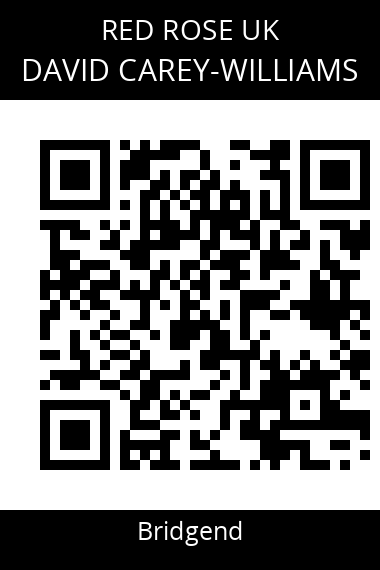 QR code for david-carey-williams