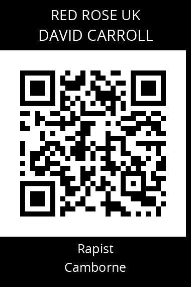 QR code for david-carroll