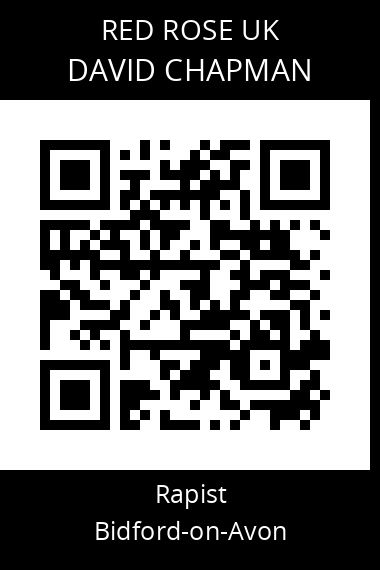 QR code for david-chapman