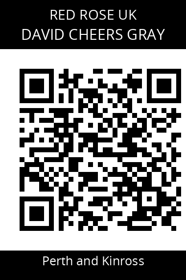 QR code for david-cheers-gray-2