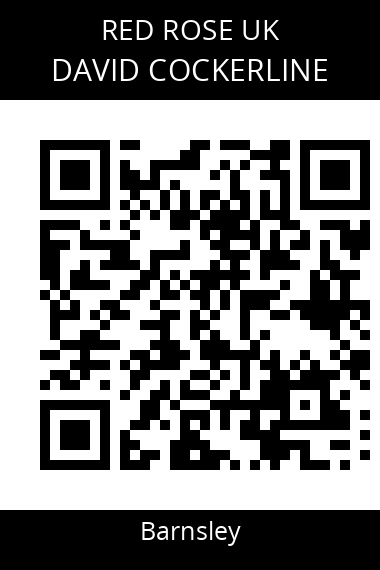 QR code for david-cockerline-ujctlb