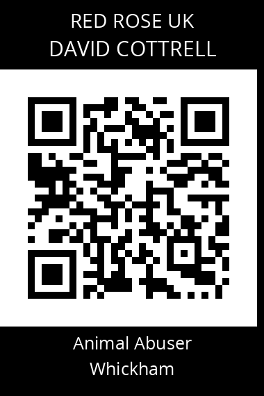 QR code for david-cottrell-1