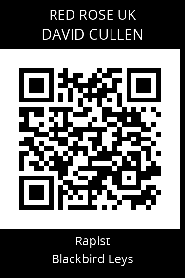 QR code for david-cullen-1