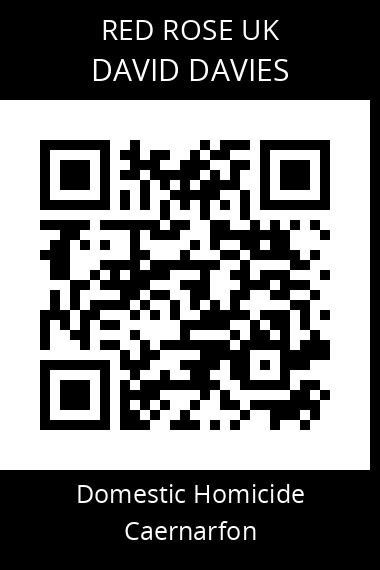 QR code for david-davies-9