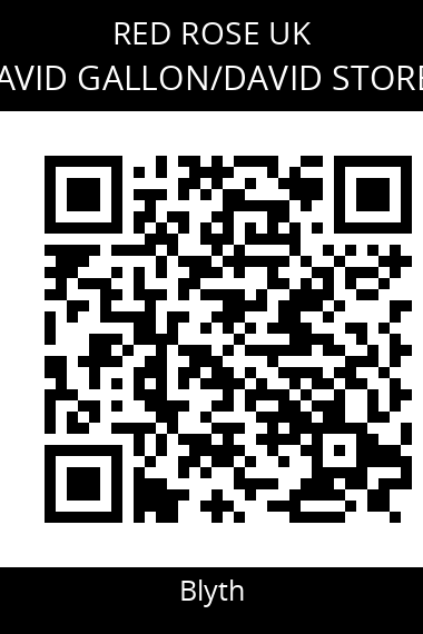 QR code for david-gallondavid-storey