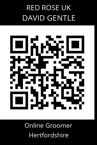 QR code for david-gentle