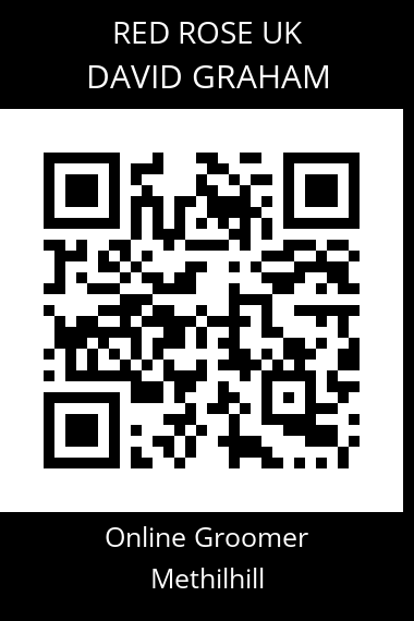 QR code for david-graham-5