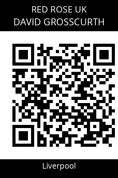 QR code for david-grosscurth-xqv88i