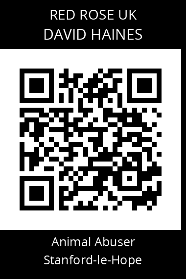 QR code for david-haines