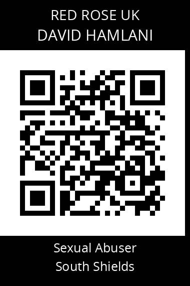 QR code for david-hamlani