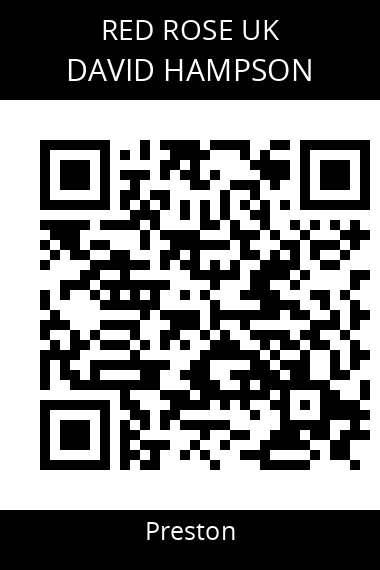 QR code for david-hampson-i1nsun