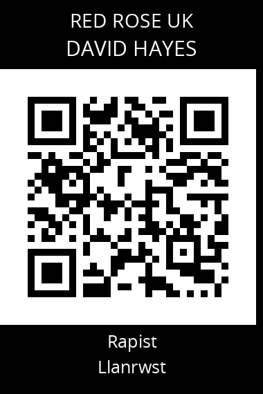 QR code for david-hayes-1
