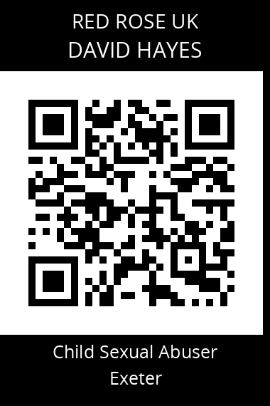 QR code for david-hayes-2