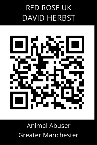 QR code for david-herbst