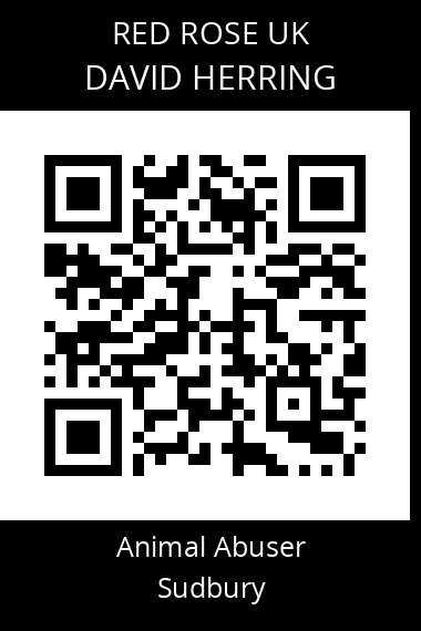 QR code for david-herring