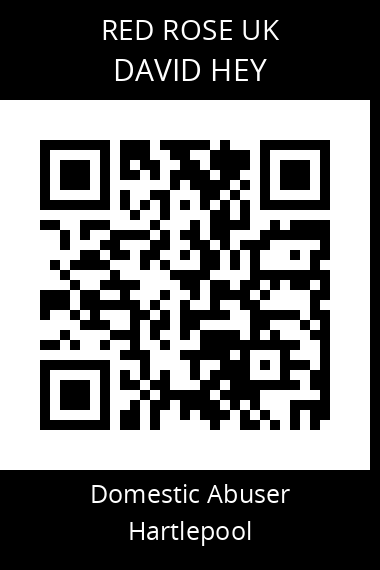 QR code for david-hey