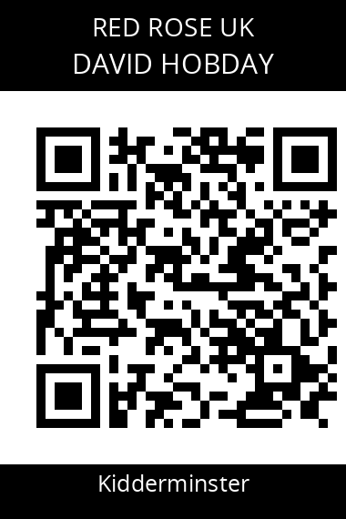 QR code for david-hobday-yyxz2o
