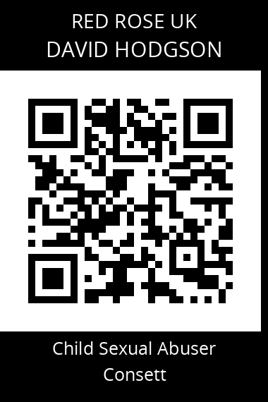 QR code for david-hodgson-1