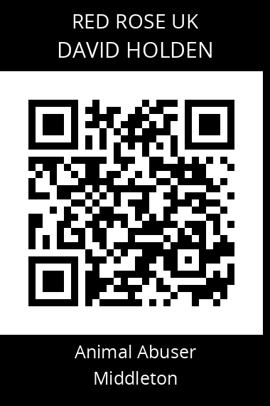 QR code for david-holden