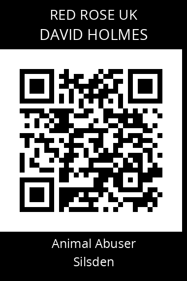 QR code for david-holmes-1
