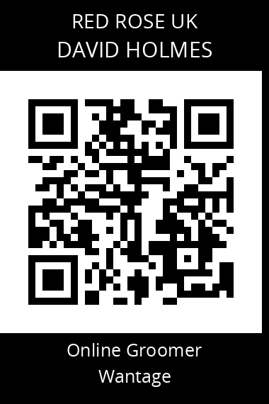 QR code for david-holmes-2