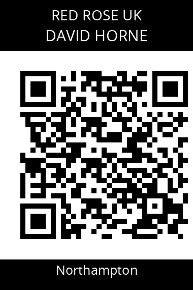 QR code for david-horne-8f0czq