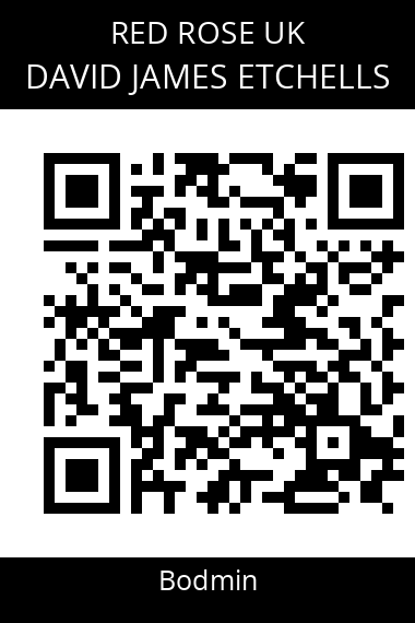 QR code for david-james-etchells
