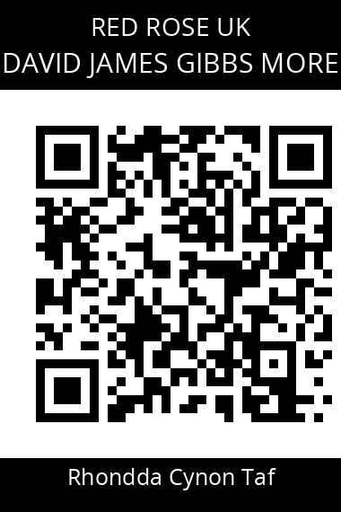 QR code for david-james-gibbs-more