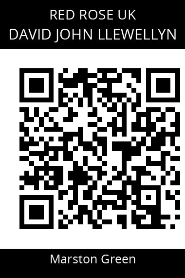 QR code for david-john-llewellyn