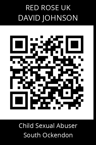 QR code for david-johnson-1