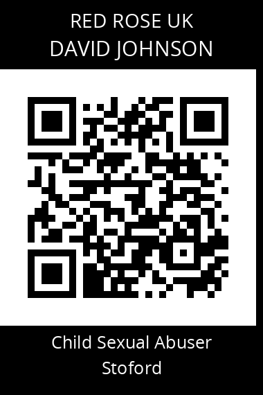 QR code for david-johnson-2
