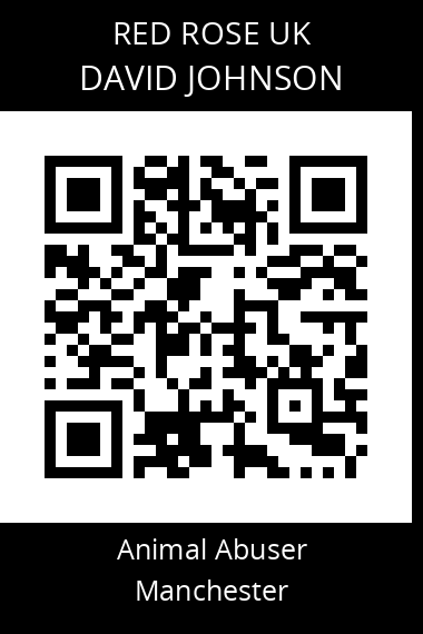 QR code for david-johnson-9