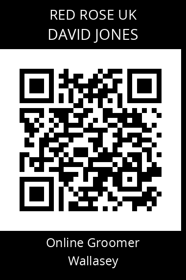 QR code for david-jones-23