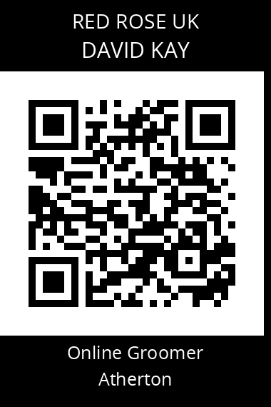 QR code for david-kay-1